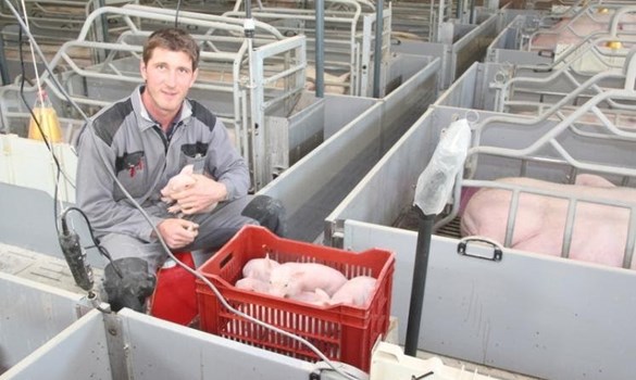 EU PiG kalinat system and pig farmer